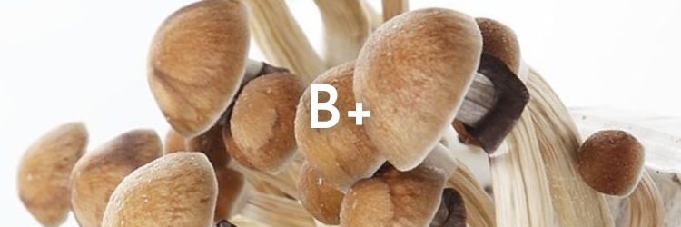 B+-mushrooms