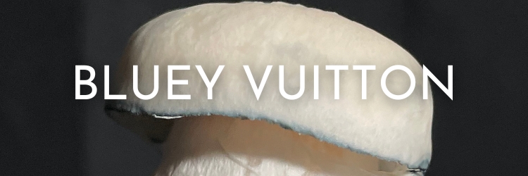 Bluey-vuitton-mushrooms